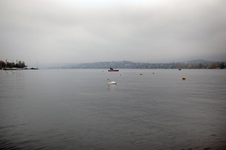Zürichsee, Zürich, Switzerland, November 2018
