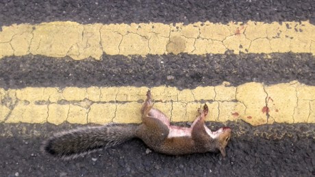 Dublin, Ireland, March 2018