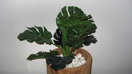 Granada, Spain, April 2019