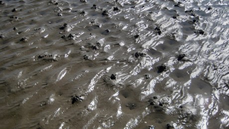 Sandymount, Dublin, March 2019