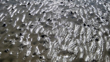 Sandymount, Dublin, March 2019