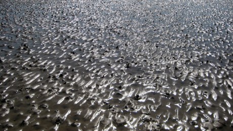 Sandymount, Dublin, March 2019