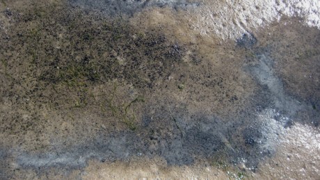 Sandymount, Dublin, March 2019