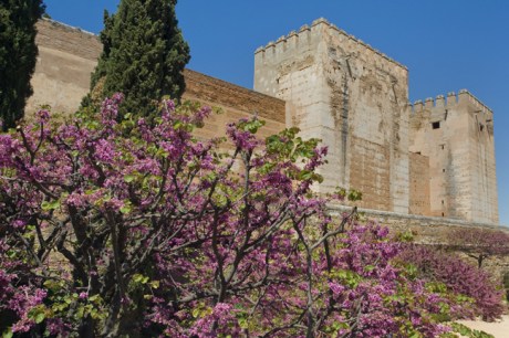 Alhambra de Granada, Granada, Spain, April 2019
