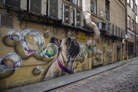 Renfield Lane, Glasgow, Scotland, October 2019 © Tom O'Connor 2019