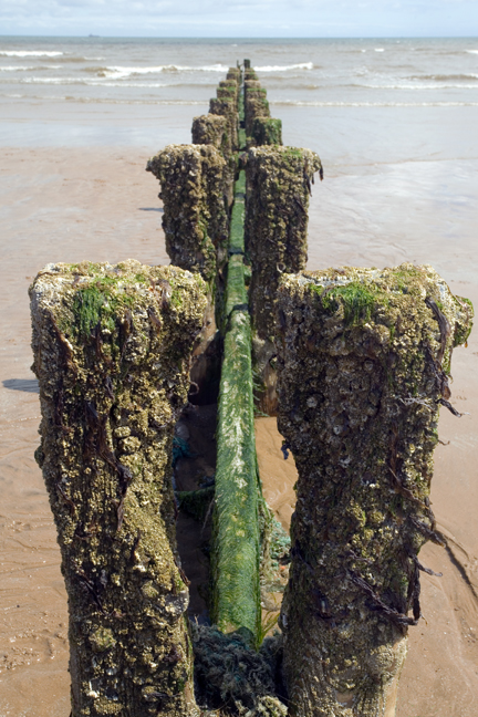 Aberdeen Beach, Aberdeen, Scotland, July 2019