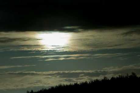Blessington, Wicklow, Ireland, November 2019 © Tom O'Connor 2019