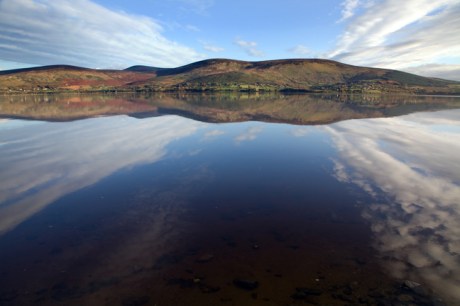 Blessington, Wicklow, Ireland, November 2019 © Tom O'Connor 2019