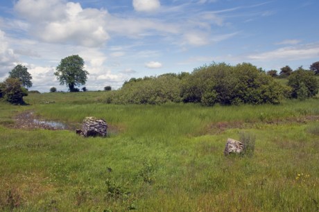 The Hill of Uisneach, Westmeath, Ireland, June 2019 © Tom O'Connor 2019