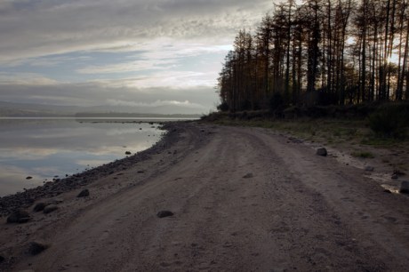 Blessington, Wicklow, Ireland, November 2019 © Tom O'Connor 2019