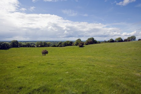 The Hill of Uisneach, Westmeath, Ireland, June 2019 © Tom O'Connor 2019