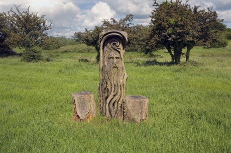 The Hill of Uisneach, Westmeath, Ireland, June 2019 © Tom O'Connor 2019