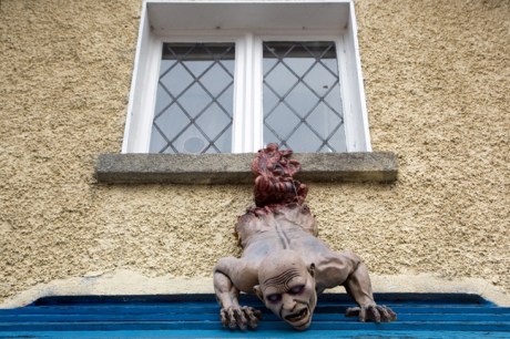 Enniskerry, Wicklow, Ireland, November 2019 © Tom O'Connor 2019