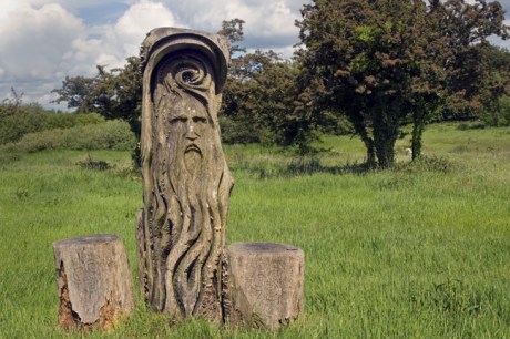 The Hill of Uisneach, Westmeath, Ireland, June 2019 © Tom O'Connor 2019