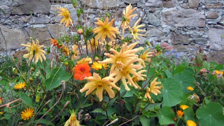 Greystones, Wicklow, September 2019 © Tom O'Connor 2019