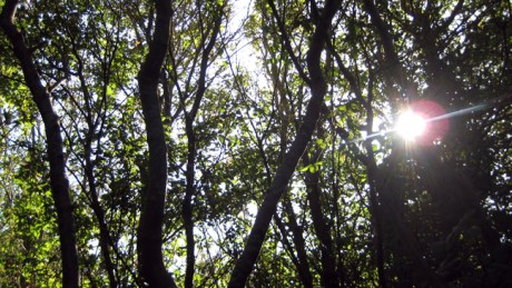 Irishtown , Dublin, September 2019 © Tom O'Connor 2019