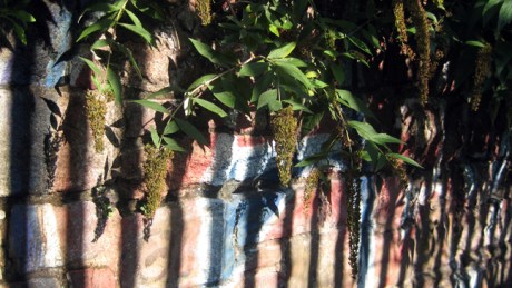 Lansdowne Road,Dublin, September 2019 © Tom O'Connor 2019