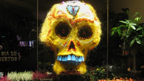 Baggot Street, Dublin, October 2019 © Tom O'Connor 2019