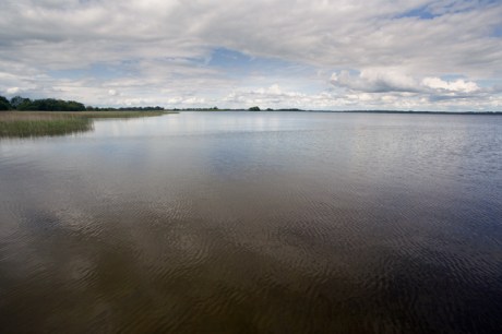 Lough Ennel, Westmeath, Ireland, June 2019 © Tom O'Connor 2019