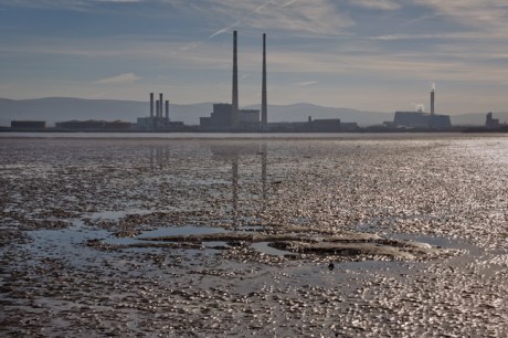 from Bull Island, Dublin, Ireland, March 2017 © Tom O'Connor 2017