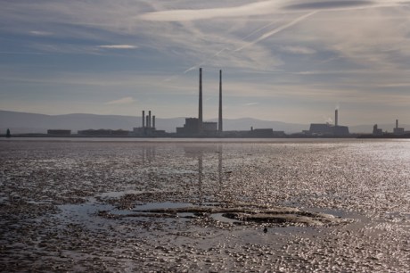 from Bull Island, Dublin, Ireland, March 2017 © Tom O'Connor 2017