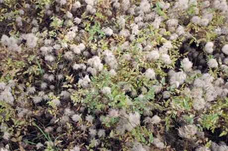 Sandymount, Dublin, Ireland, June 2018 © Tom O'Connor 2018