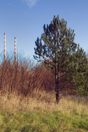 Sandymount, Dublin, Ireland, December 2018 © Tom O'Connor 2018