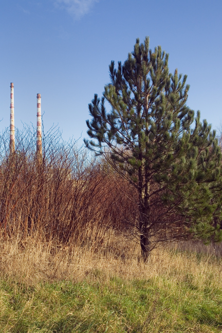 Sandymount, Dublin, Ireland, December 2018 © Tom O'Connor 2018