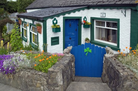 Reaghstown, Co. Louth, Ireland, June 2019 © Tom O’ Connor 2019