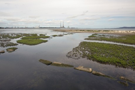 Merrion Strand, Dublin, Ireland, August 2019 © Tom O'Connor 2019