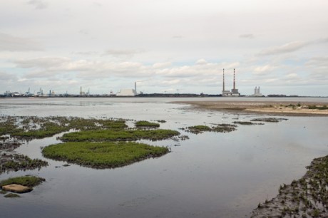 Merrion Strand, Dublin, Ireland, August 2019 © Tom O'Connor 2019