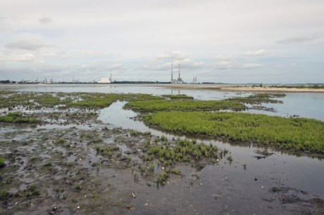 Merrion Strand, Dublin, Ireland, August 2019 © Tom O'Connor 2019