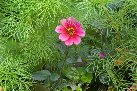 Stephens Green, Dublin, Ireland, October 2019 © Tom O'Connor 2019