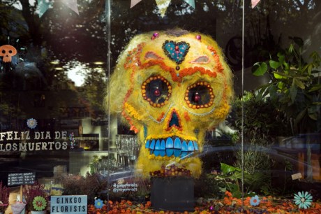 Baggot Street, Dublin, Ireland, October 2019 © Tom O'Connor 2019