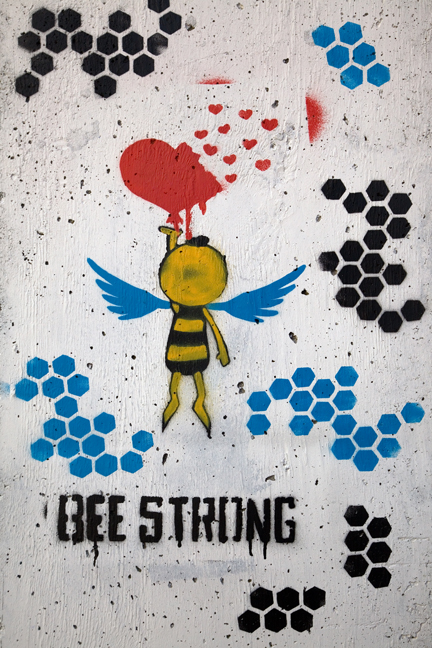 Herbert Lane, Dublin, Ireland, November 2019 © Tom O'Connor 2019