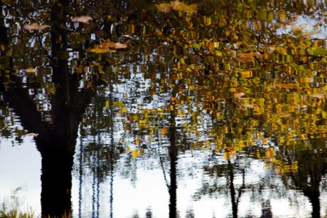 Portobello, Grand Canal, Dublin, Ireland, November 2019 © Tom O'Connor 2019