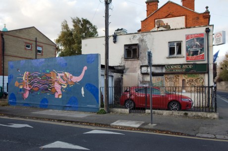 Richmond Hill, Dublin, Ireland, November 2019 © Tom O'Connor 2019