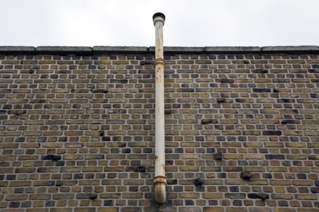 Sandwith Street, Dublin, Ireland, November 2019 © Tom O'Connor 2019