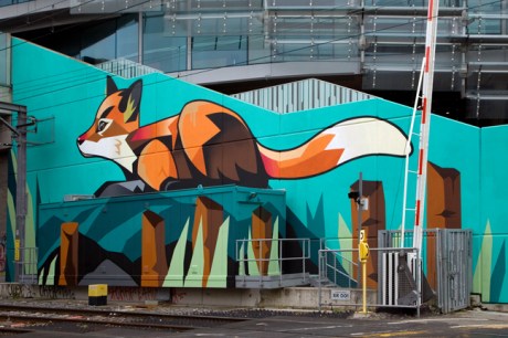 Lansdowne Road, Dublin, Ireland, November 2019 © Tom O'Connor 2019