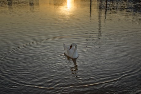 Ringsend, Dublin, Ireland, December 2019 © Tom O'Connor 2019