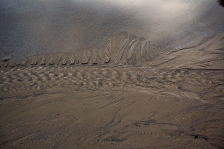 Loughshinny, Dublin, Co. Dublin, Ireland, January 2019 © Tom O’ Connor 2019