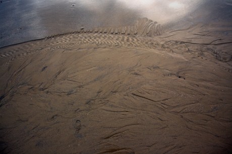 Loughshinny, Dublin, Co. Dublin, Ireland, January 2019 © Tom O’ Connor 2019
