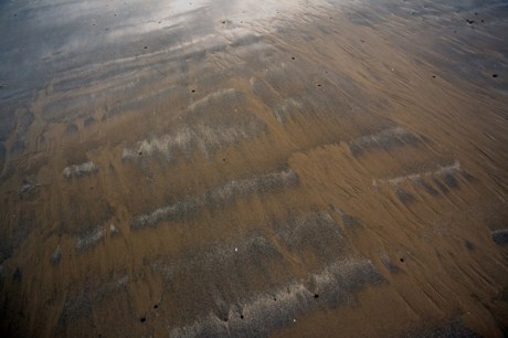 Loughshinny, Dublin, Co. Dublin, Ireland, January 2019 © Tom O’ Connor 2019