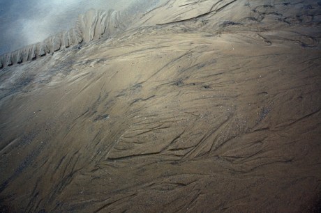Loughshinny, Dublin, Co. Dublin, Ireland, January 2019 © Tom O’ Connor 2019