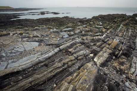 Loughshinny, Dublin, Co. Dublin, Ireland, January 2019 © Tom O’ Connor 2019