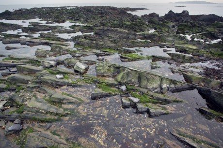 Loughshinny, Dublin, Co. Dublin, Ireland, January 2019 © Tom O’ Connor 2019