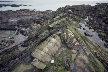 Loughshinny, Dublin, Co. Dublin, Ireland, January 2019 © Tom O’ Connor 2019