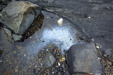 Loughshinny, Dublin, Co. Dublin, Ireland, January 2019 © Tom O’ Connor 2019