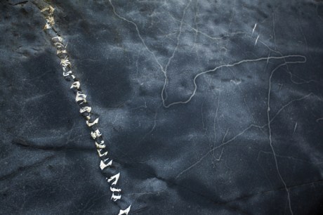 Loughshinny, Dublin, Co. Dublin, Ireland, January 2019 © Tom O’ Connor 2019