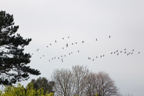 Sandymount, Dublin, Ireland, March 2020